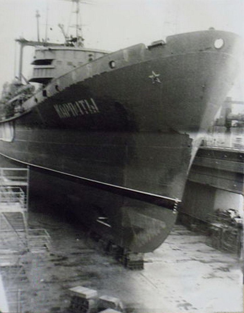 Спасательное судно Карпаты