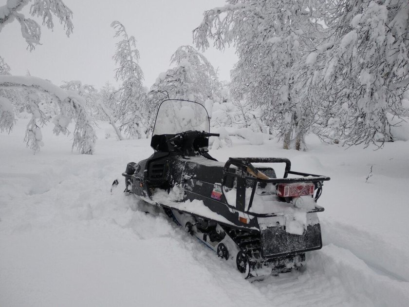 Снегоход Yamaha Viking 540 vi