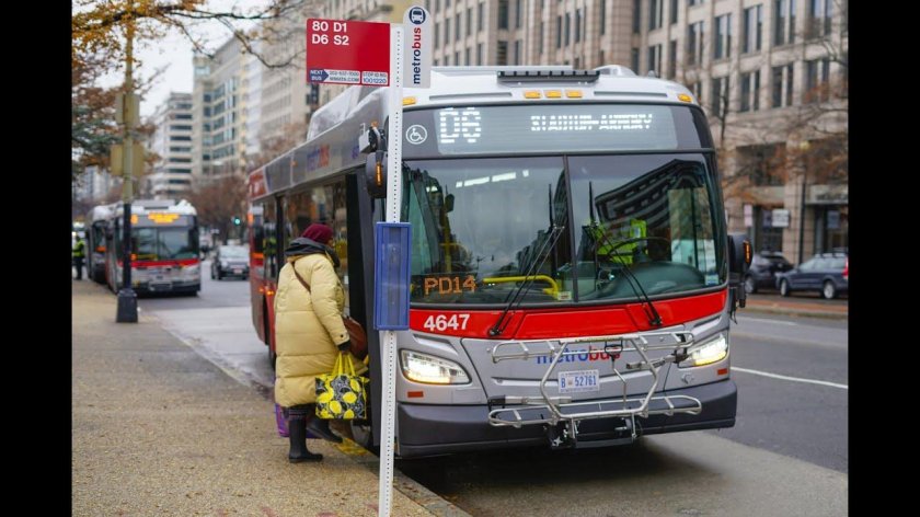 Тотал автобус