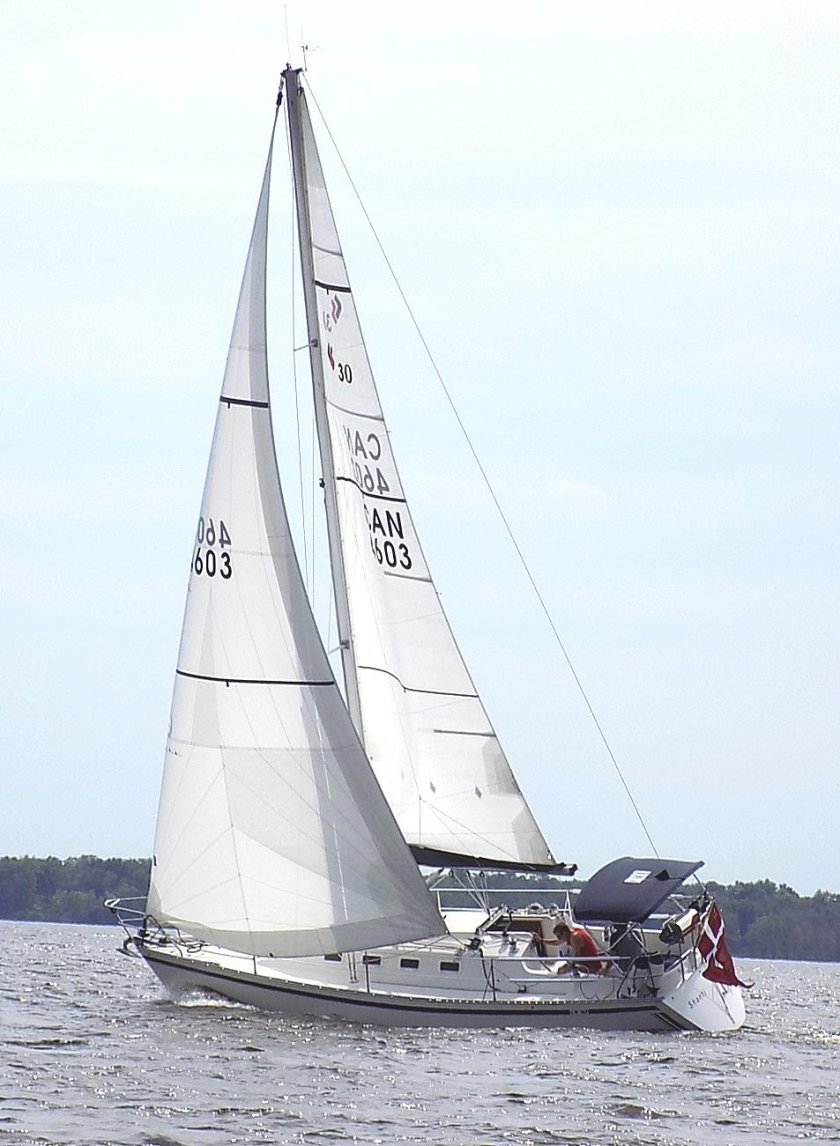 Стаксель Генуя