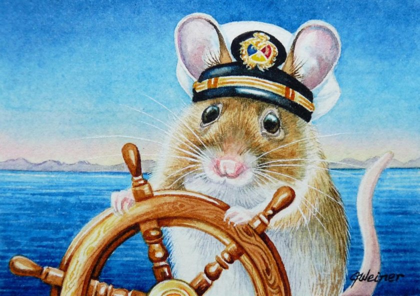 Мышь на корабле