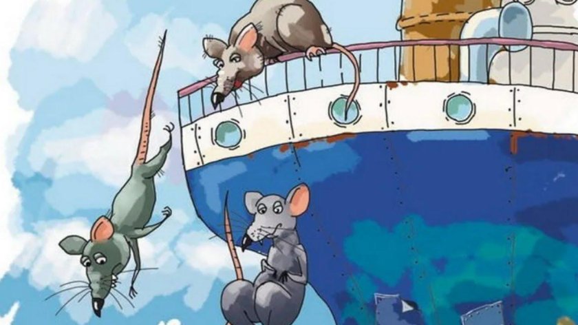 С тонущего корабля первыми бегут крысы