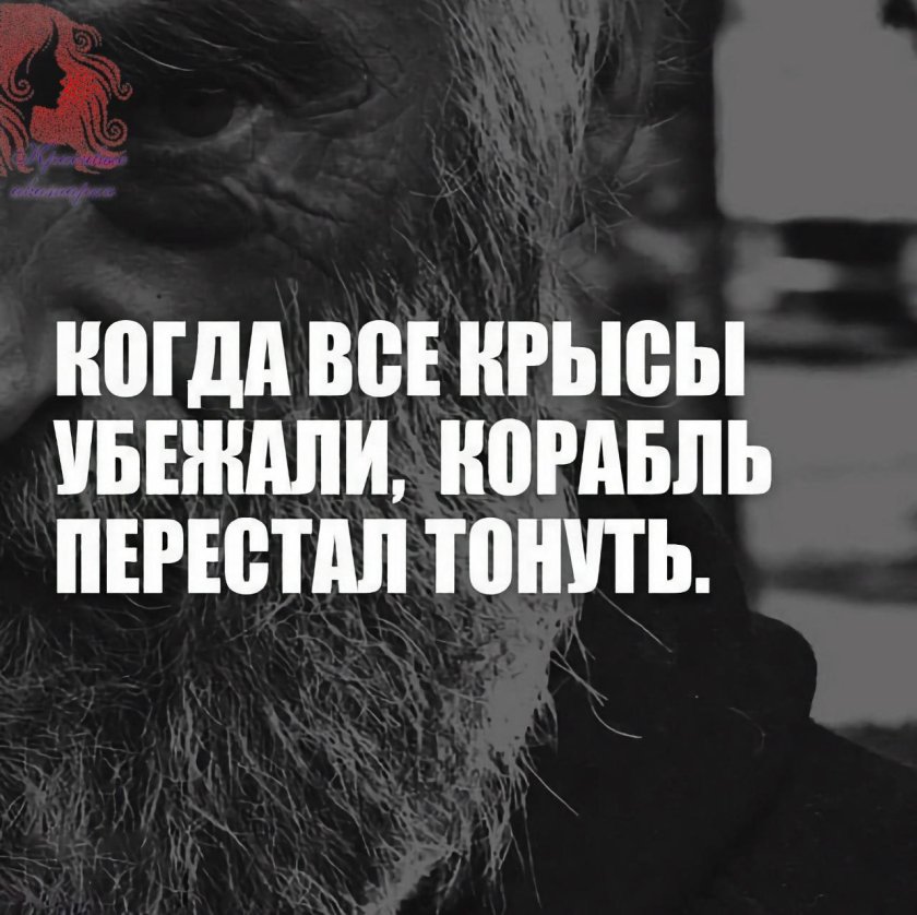 Когда все крысы убежали корабль перестал тонуть