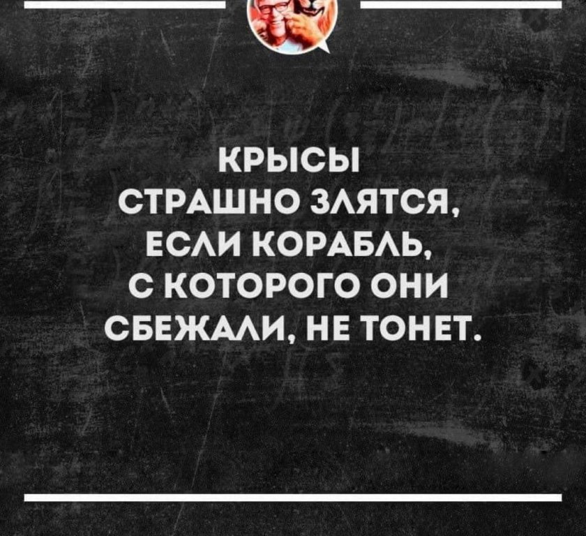 Крысы страшно злятся, если корабль, с которого они сбежали, не тонет.