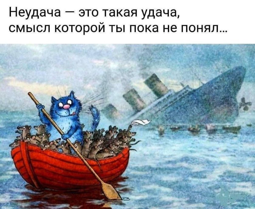 Коты Ирины Зенюк