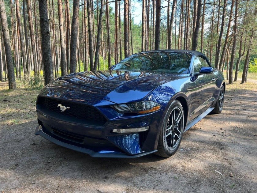 Коассный Мустанг 2020 год