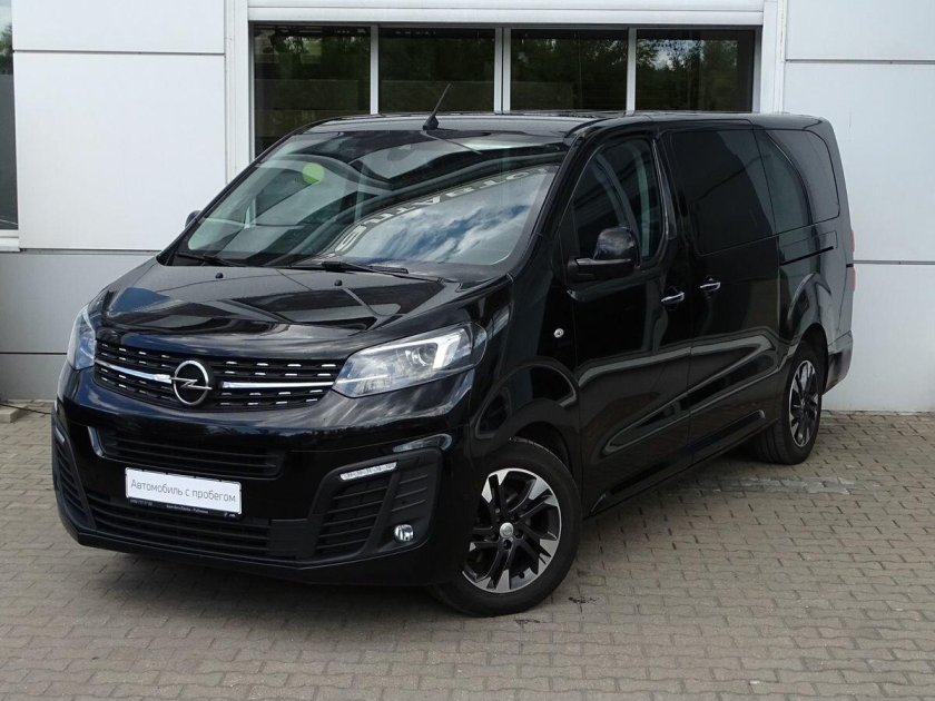 Орёл Зафира 2023 года