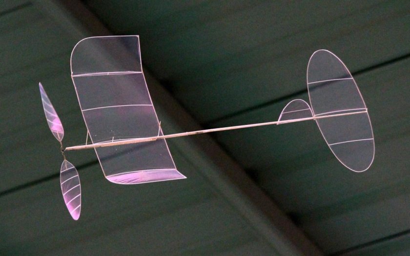 Авиамодели f1d