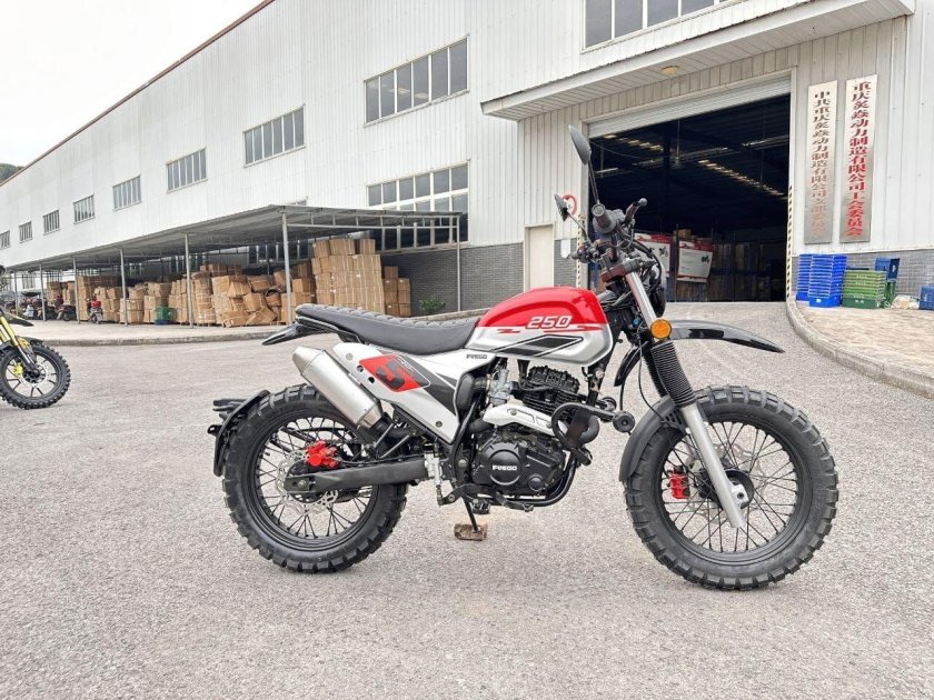 Мотоцикл Fuego Tekken 250