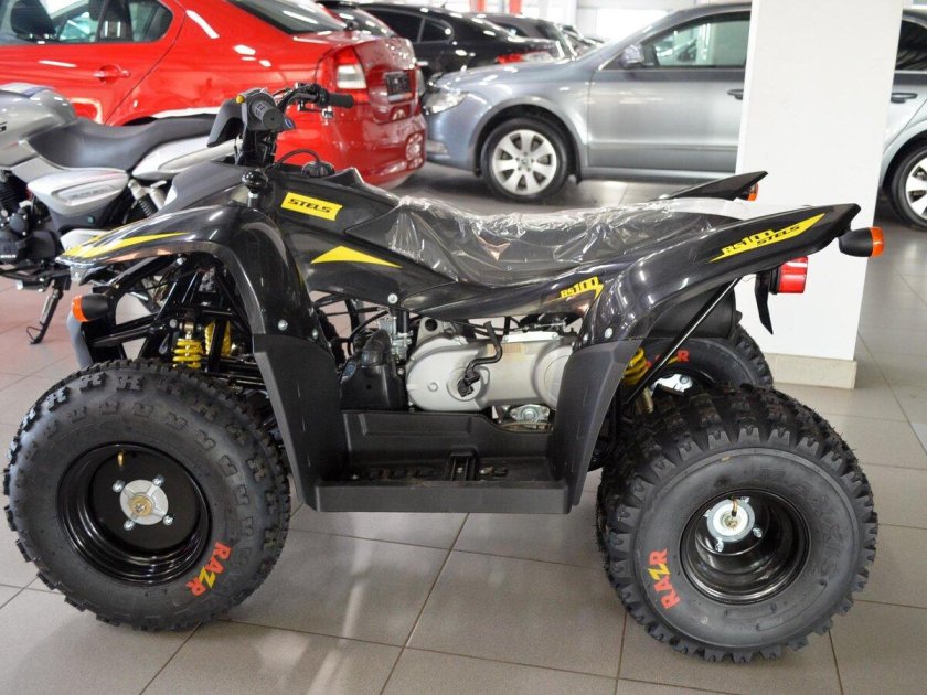 Stels atv 100