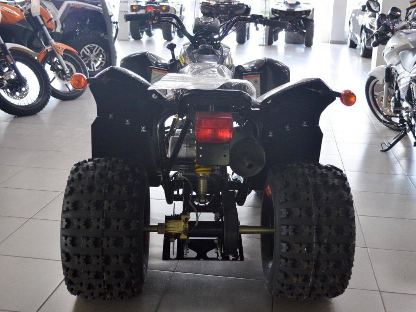 Stels atv 100