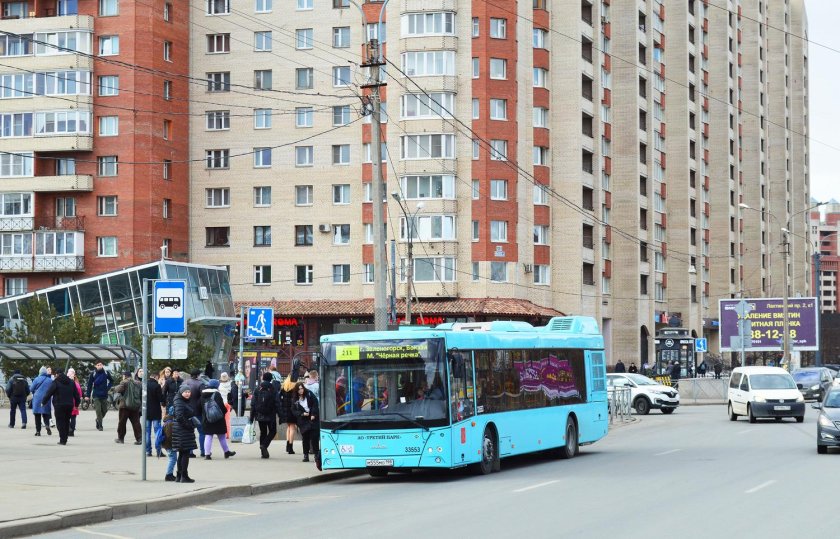 МАЗ 203 Питер