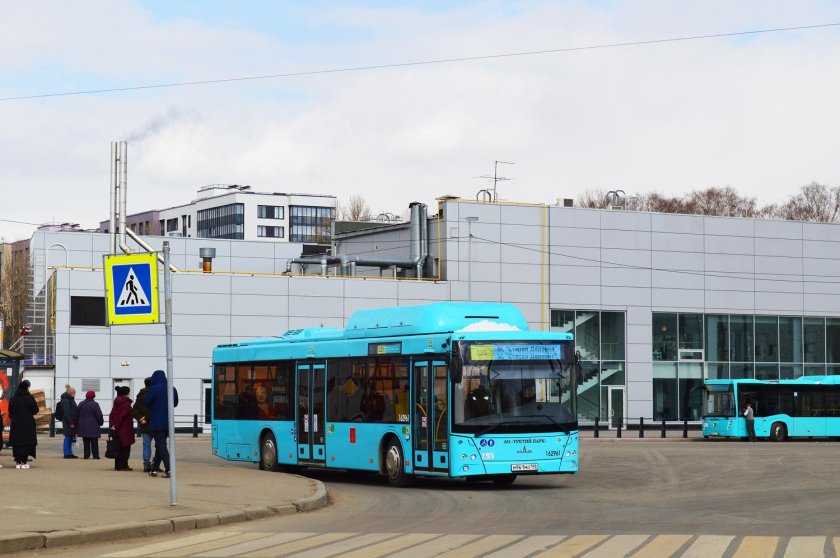 МАЗ 203 Пригородный