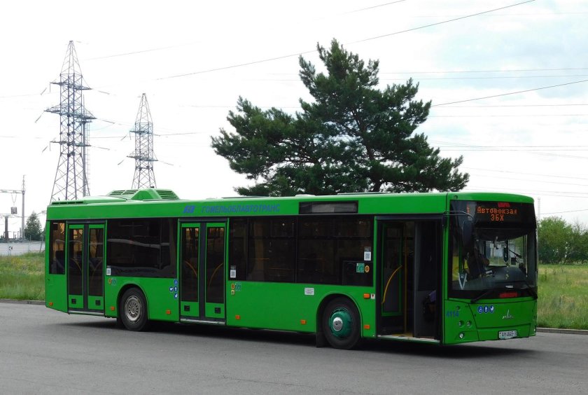 МАЗ 203 сбоку