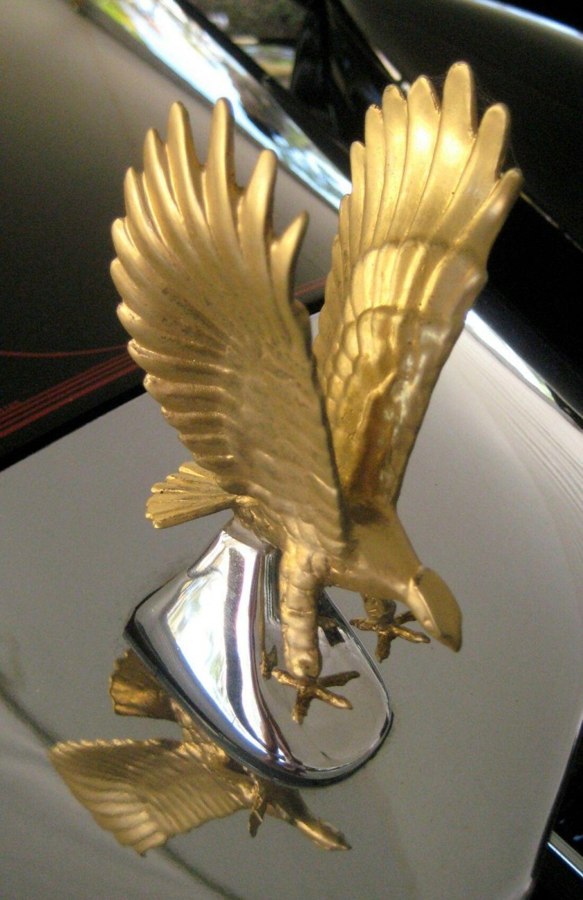 Марка автомобиля с крыльями