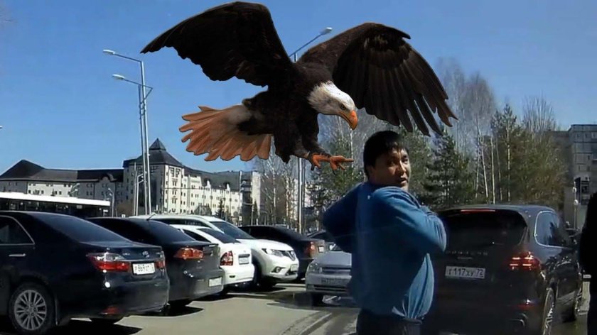 Украинский Орел