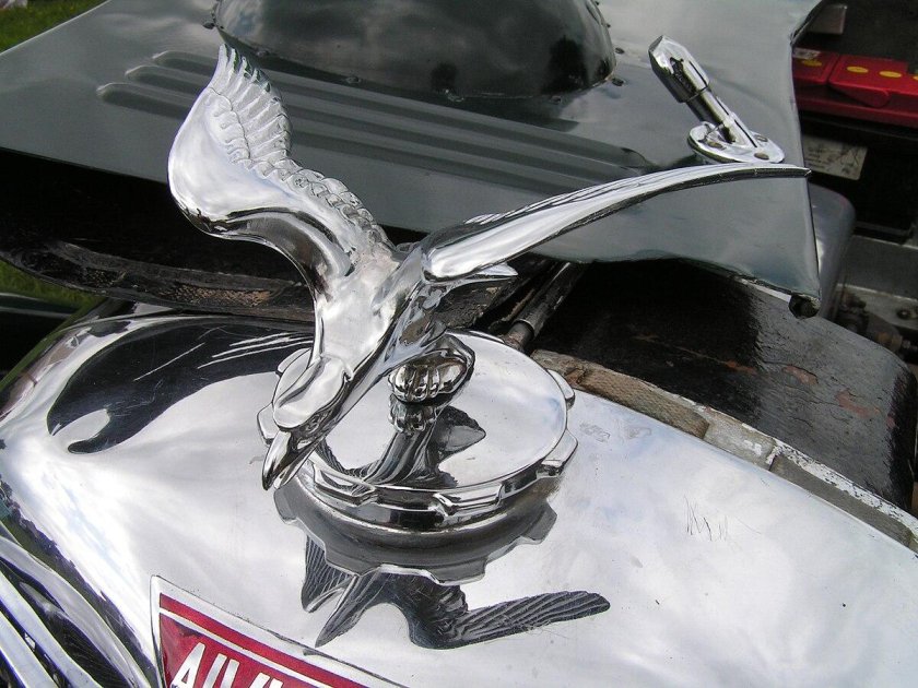 Автомобиль с птичкой на капоте