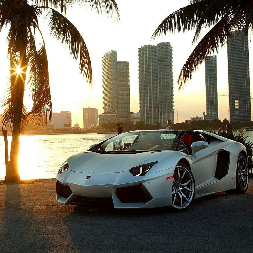Lamborghini Aventador lp700-4 Roadster Silver