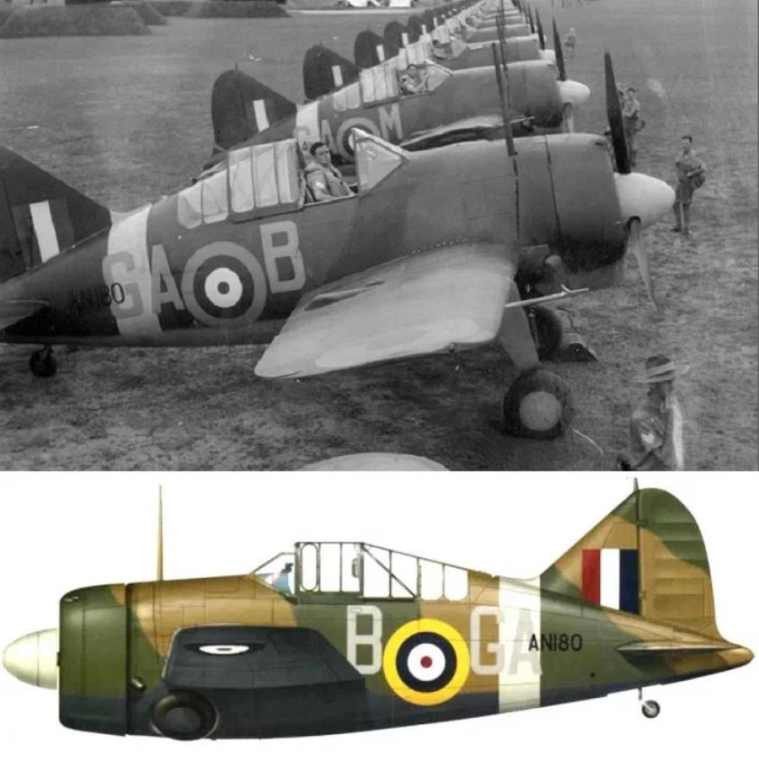 Брюстер Буффало