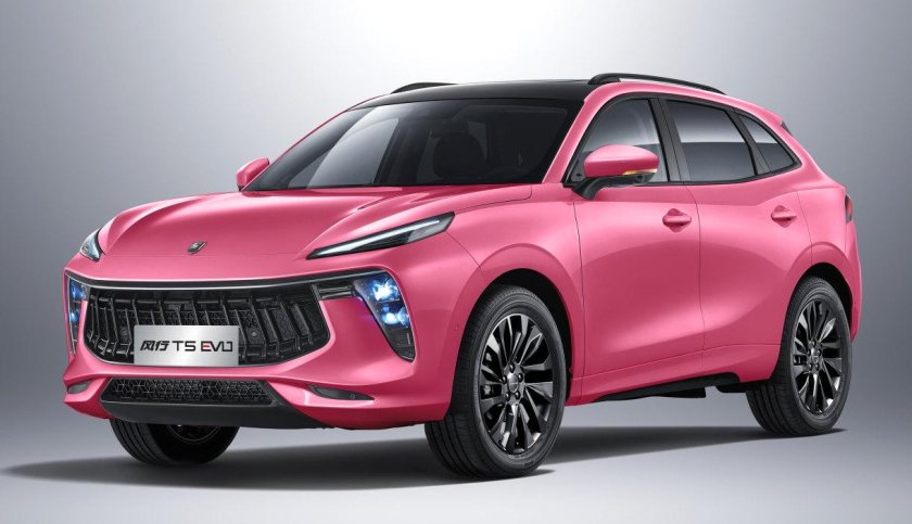 Фортинг т5 Эво