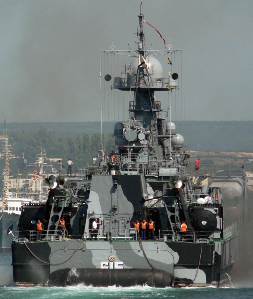 МРК 1239 сивуч