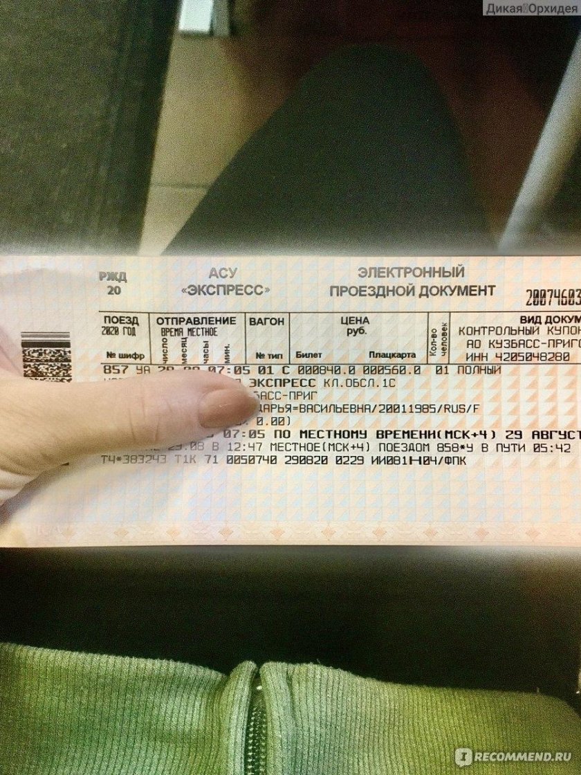 Билет Новокузнецк Новосибирск
