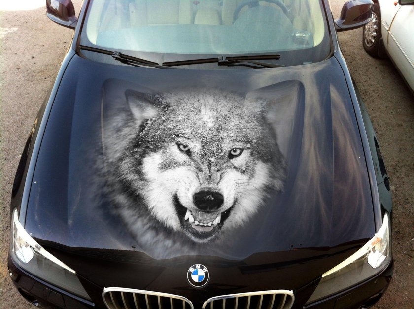 Мартин Хенгс аэрография