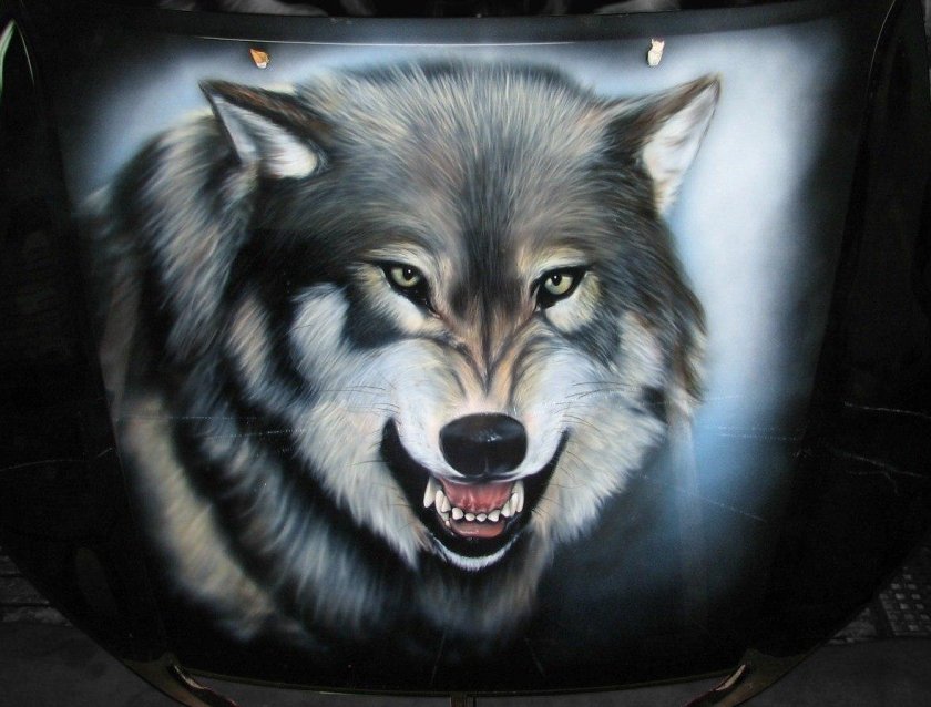 Аэрография волк