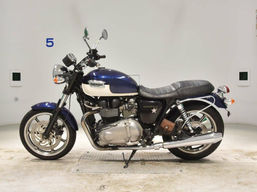 Купить белый Триумф бинувили 2012 года