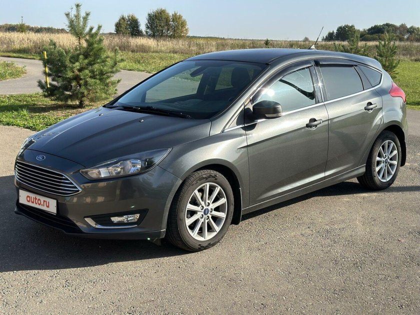 Фокус коричневый