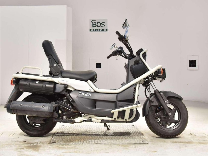 Хонда Биг рукус 250