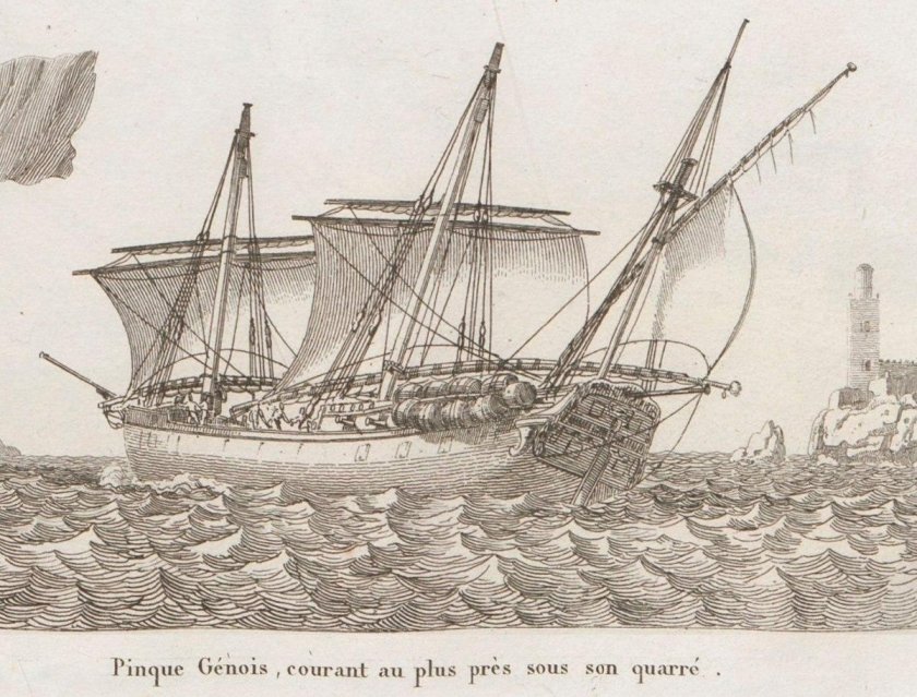 Генуэзский Пинк