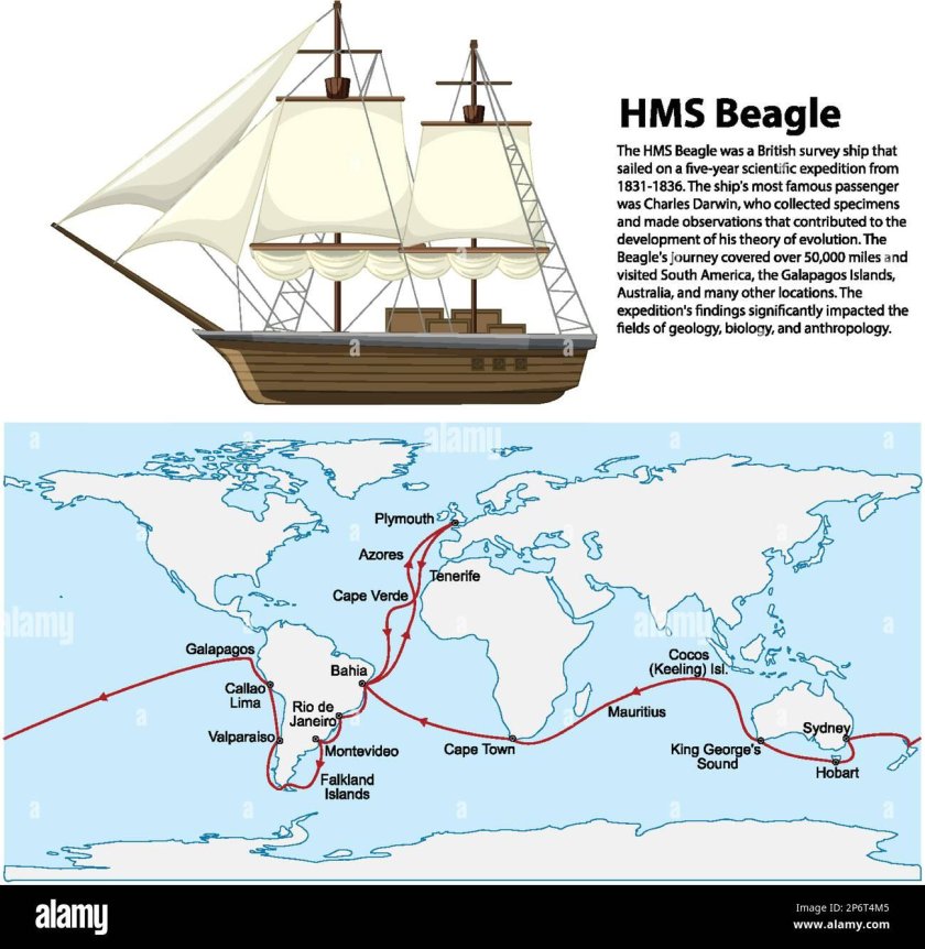 Парусный корабль