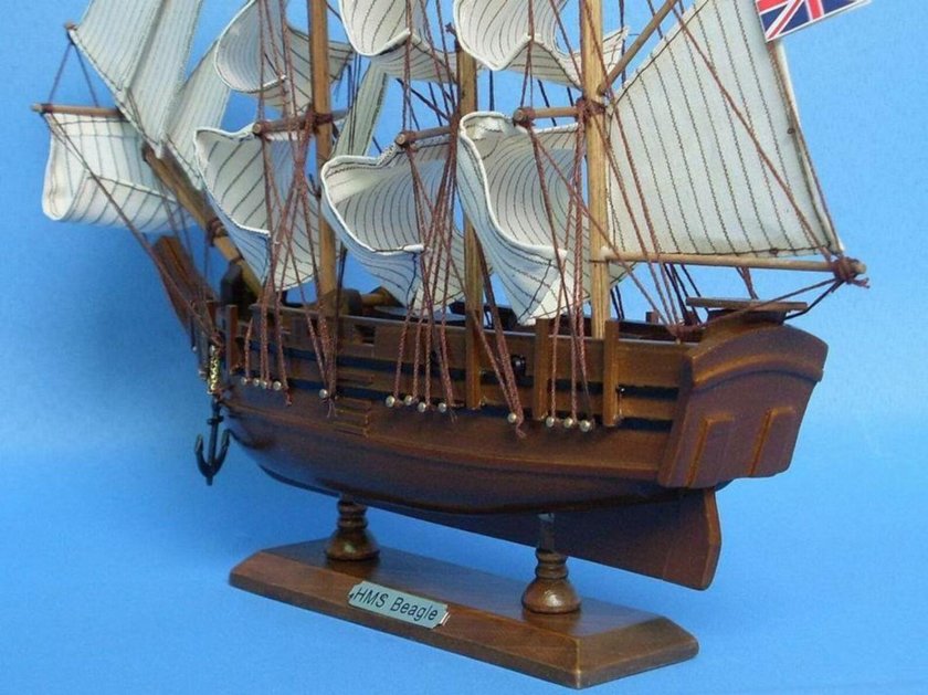 Бриг Бигль модель