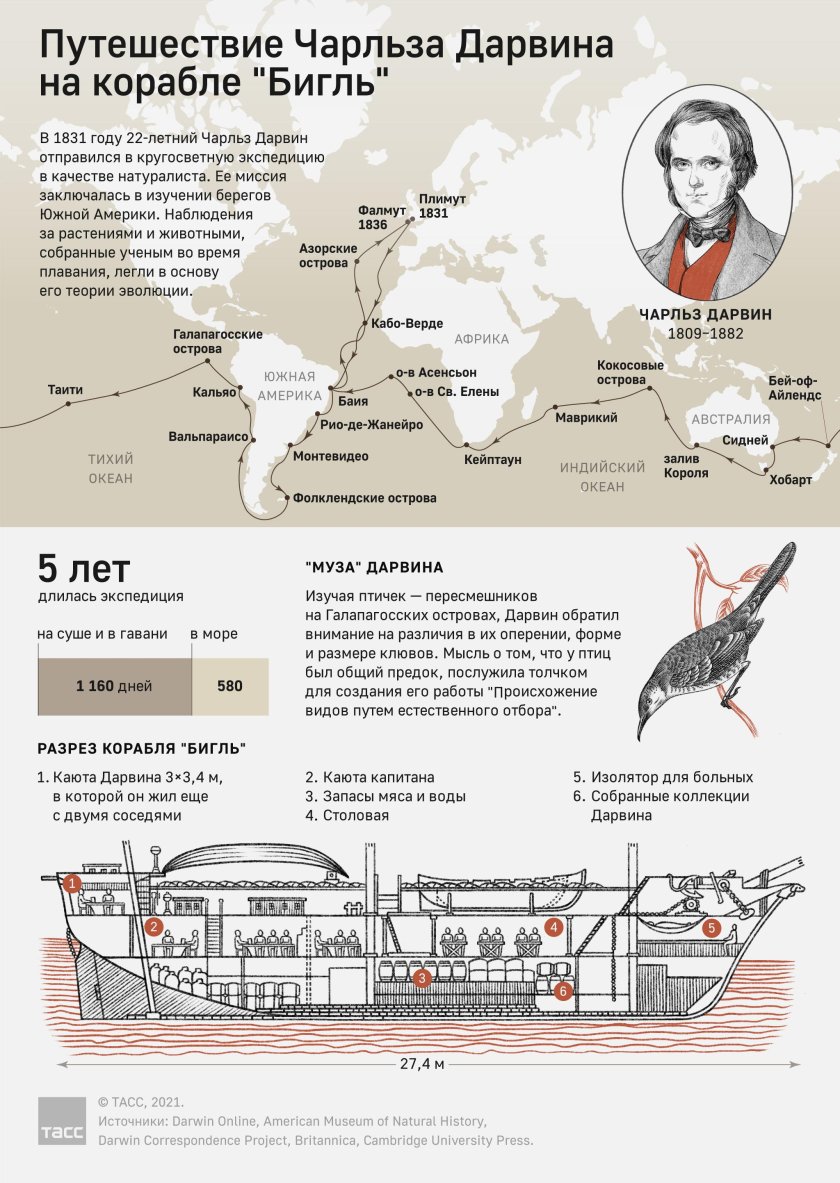 Кругосветное путешествие Дарвина
