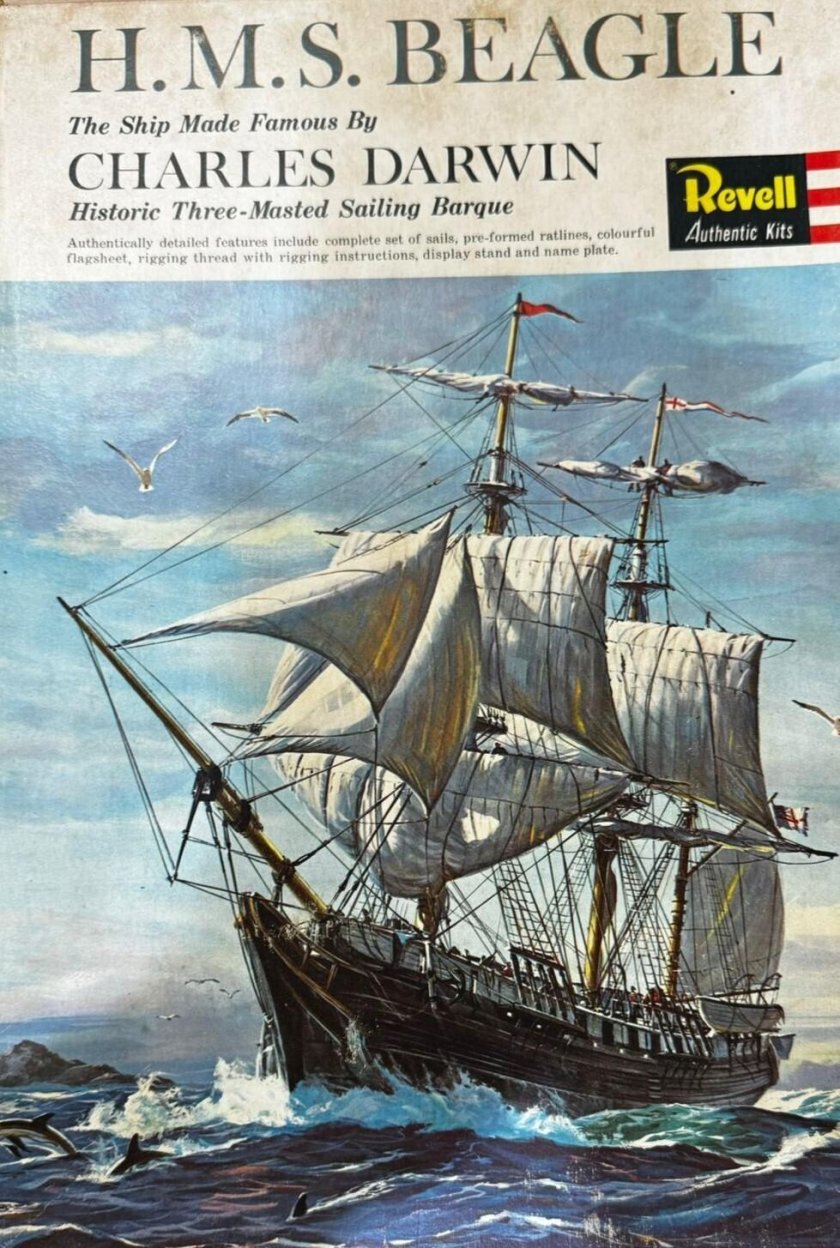 HMS Beagle Revell