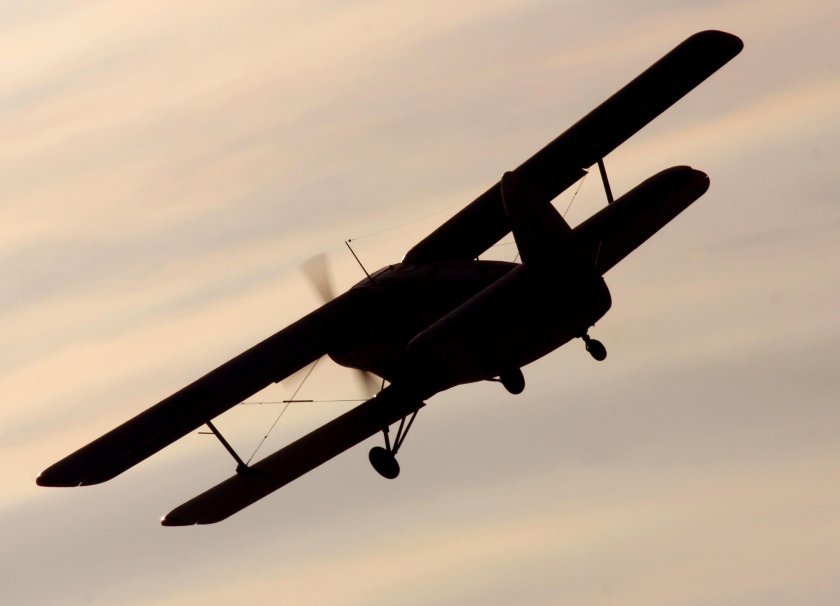 АН-2 моноплан