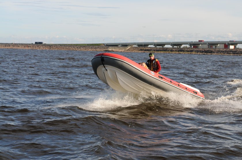 РИБ Фортис 490