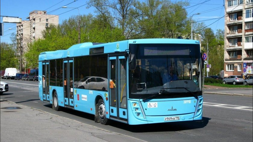 МАЗ 203 Петербург
