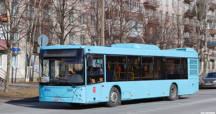 МАЗ 203 Домтрансавто