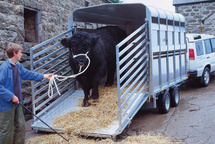 Транспортировка животных