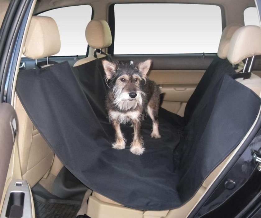 Автогамак для собак Роял Канин