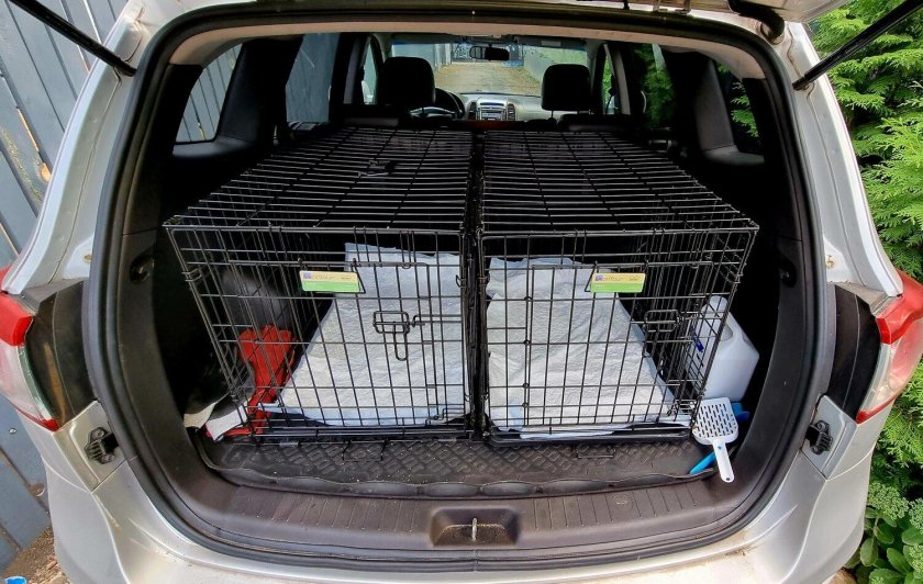 Клетка в багажник