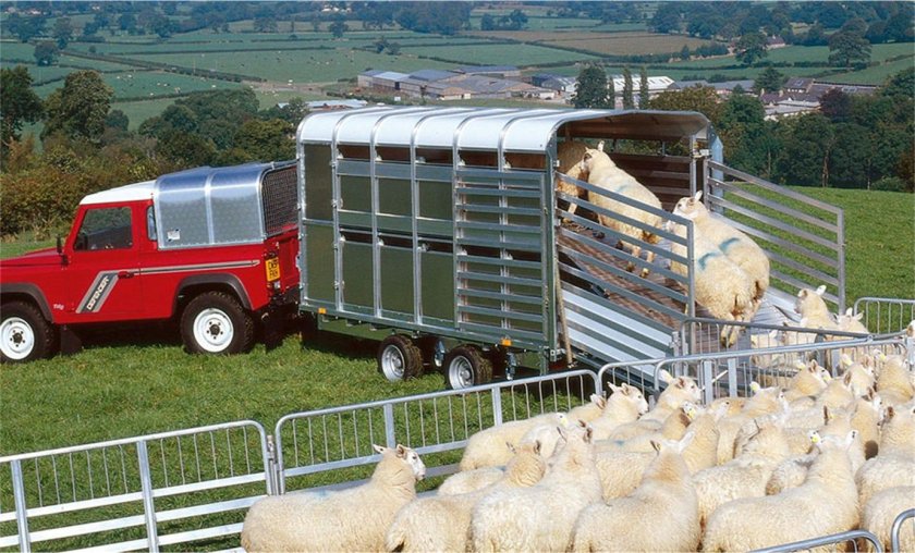 Скотовоз для КРС