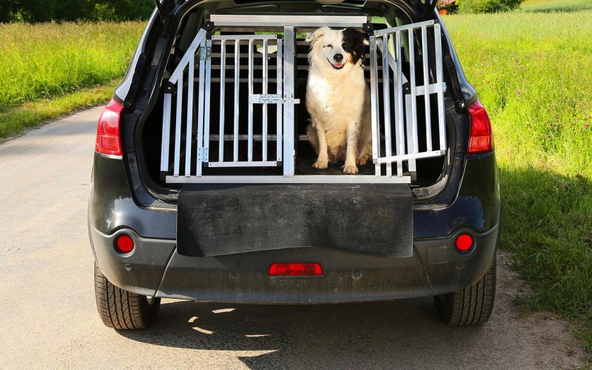 Клетка для собаки в машину