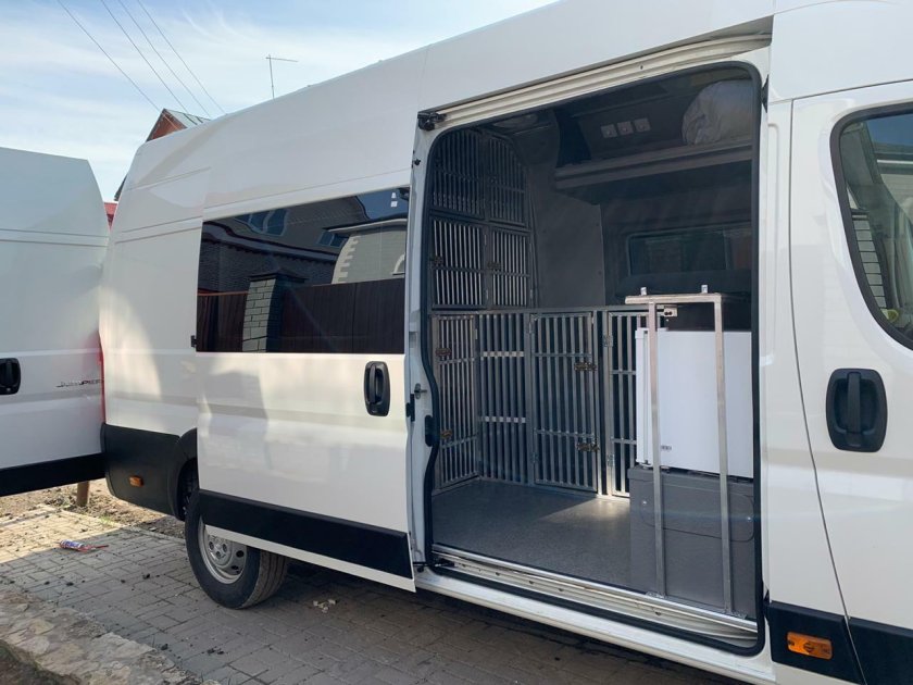 Петстур доставка