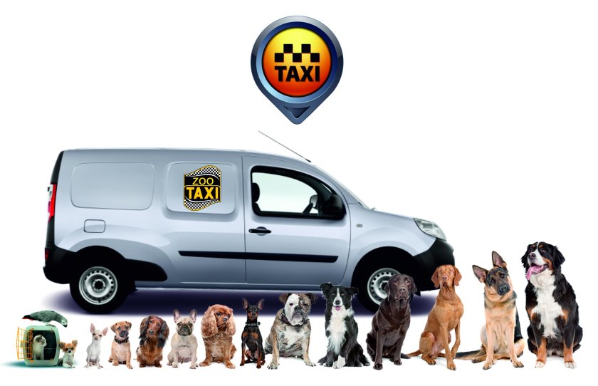 Зоотакси машина