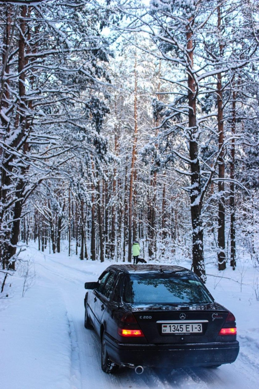 Мерседес 140 зимний лес