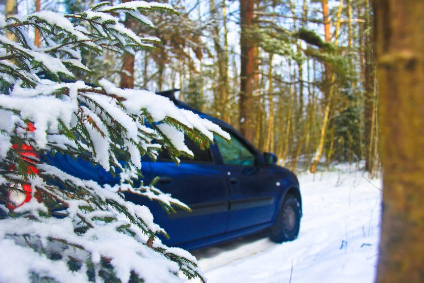 Автомобили зимой в лесу