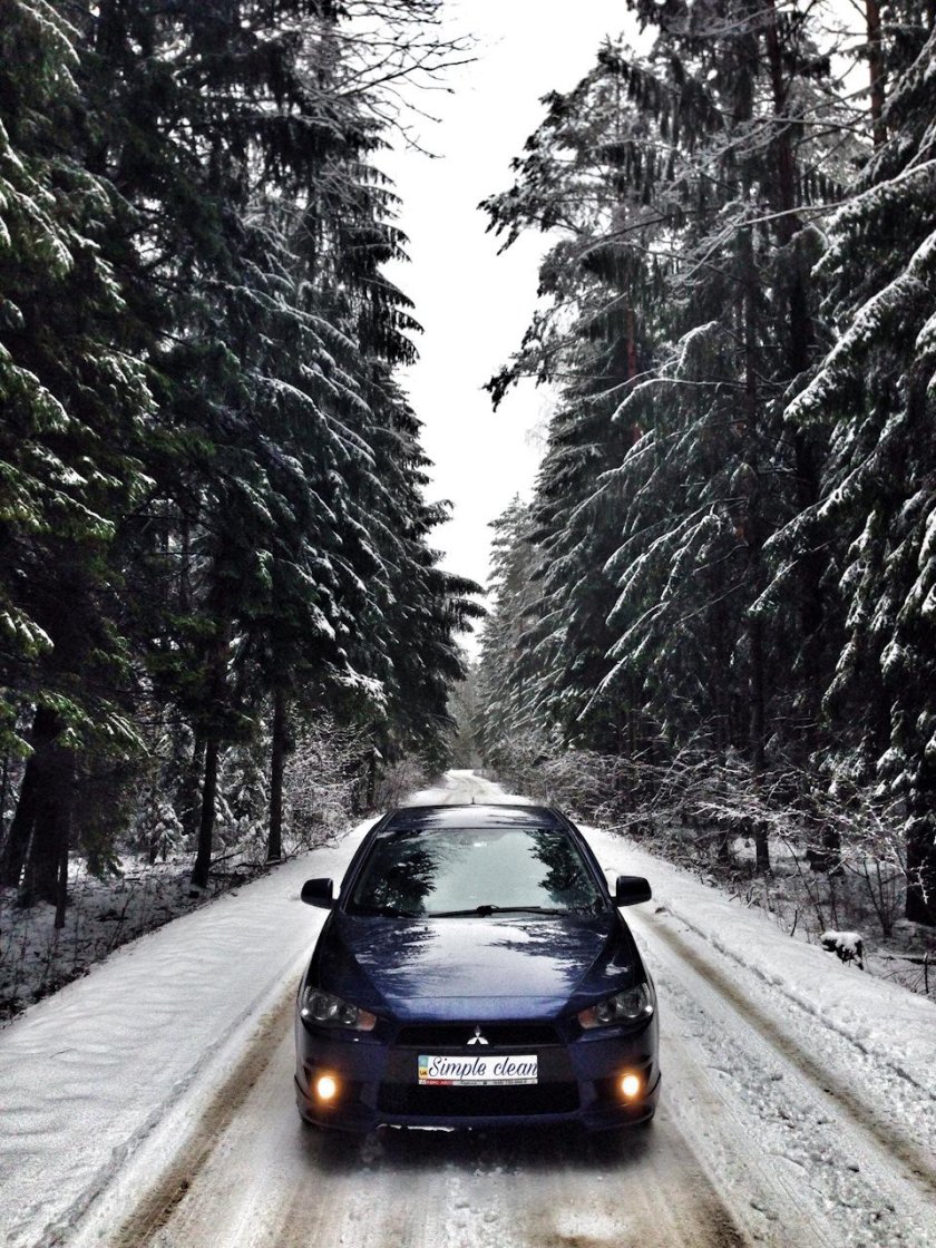 Машина в лесу